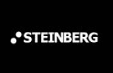  STEINBERG