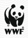  WWF